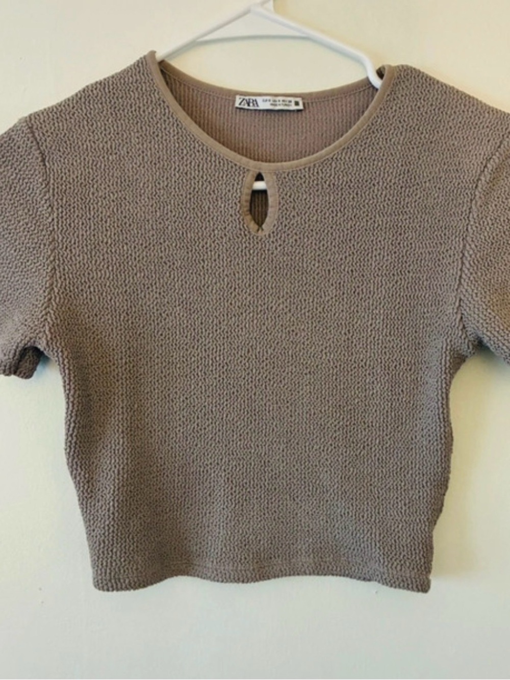 Zara Cropped Short Sleeve Top